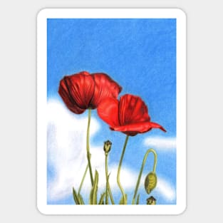 Poppies Sticker
